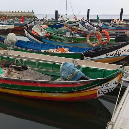 Nenúfares Villa