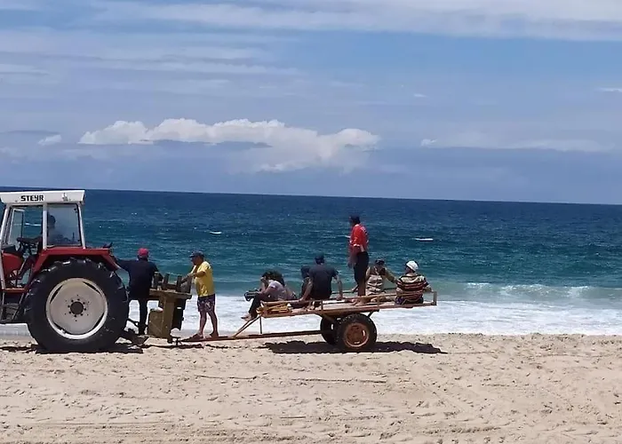 Nenúfares * Torreira