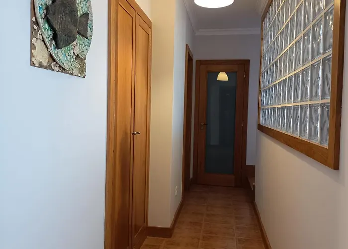 Nenúfares * Torreira